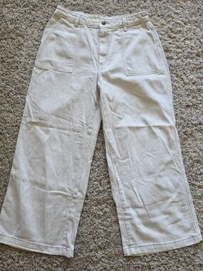 Universal Thread Wide-Leg Canvas Chinos in Light Cream